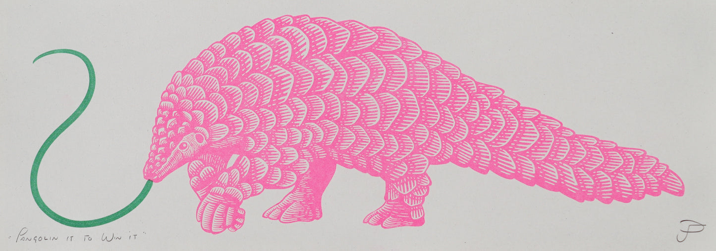 'Pangolin It Will Win It' Open Edition Fine Art Print