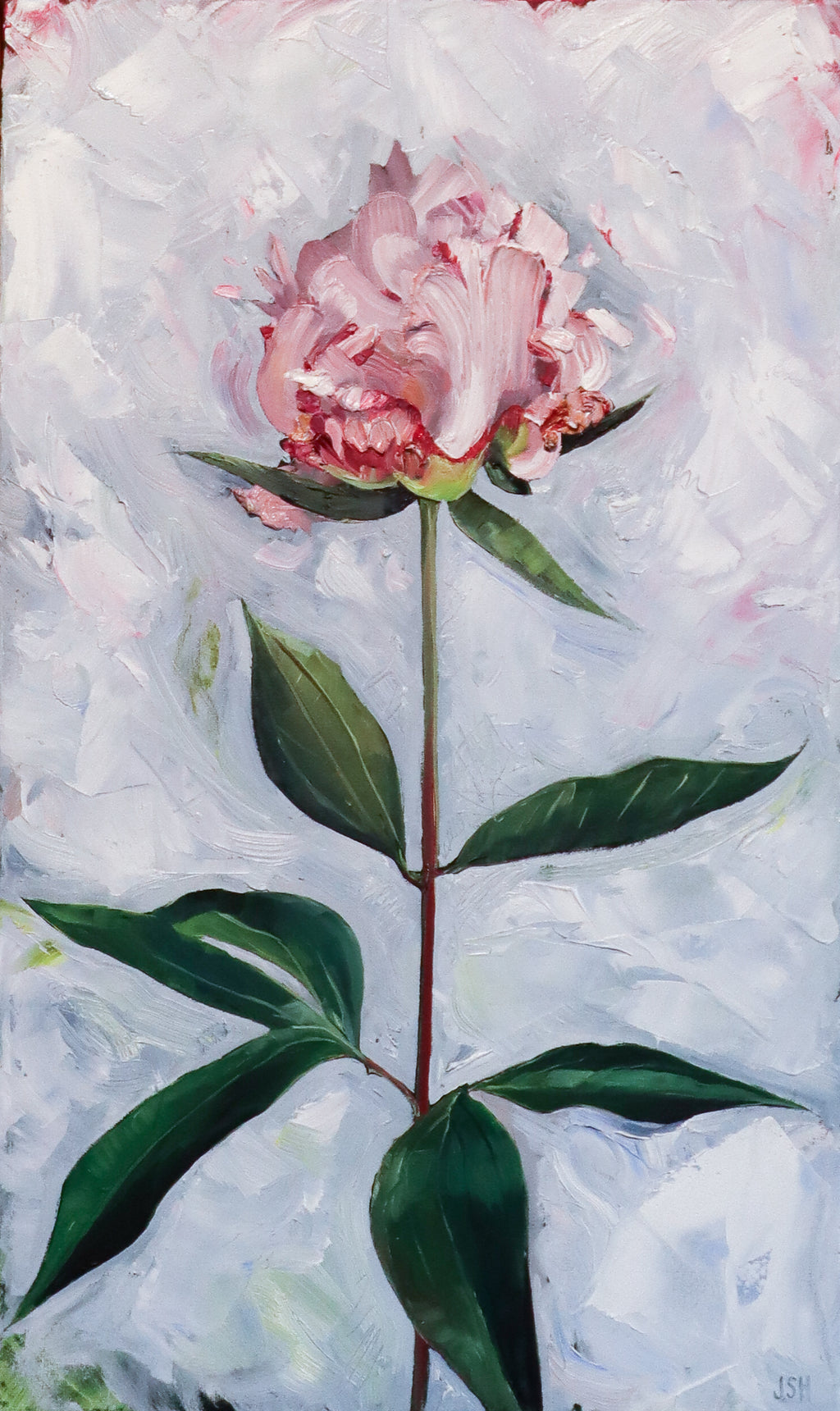 Single Peony ll