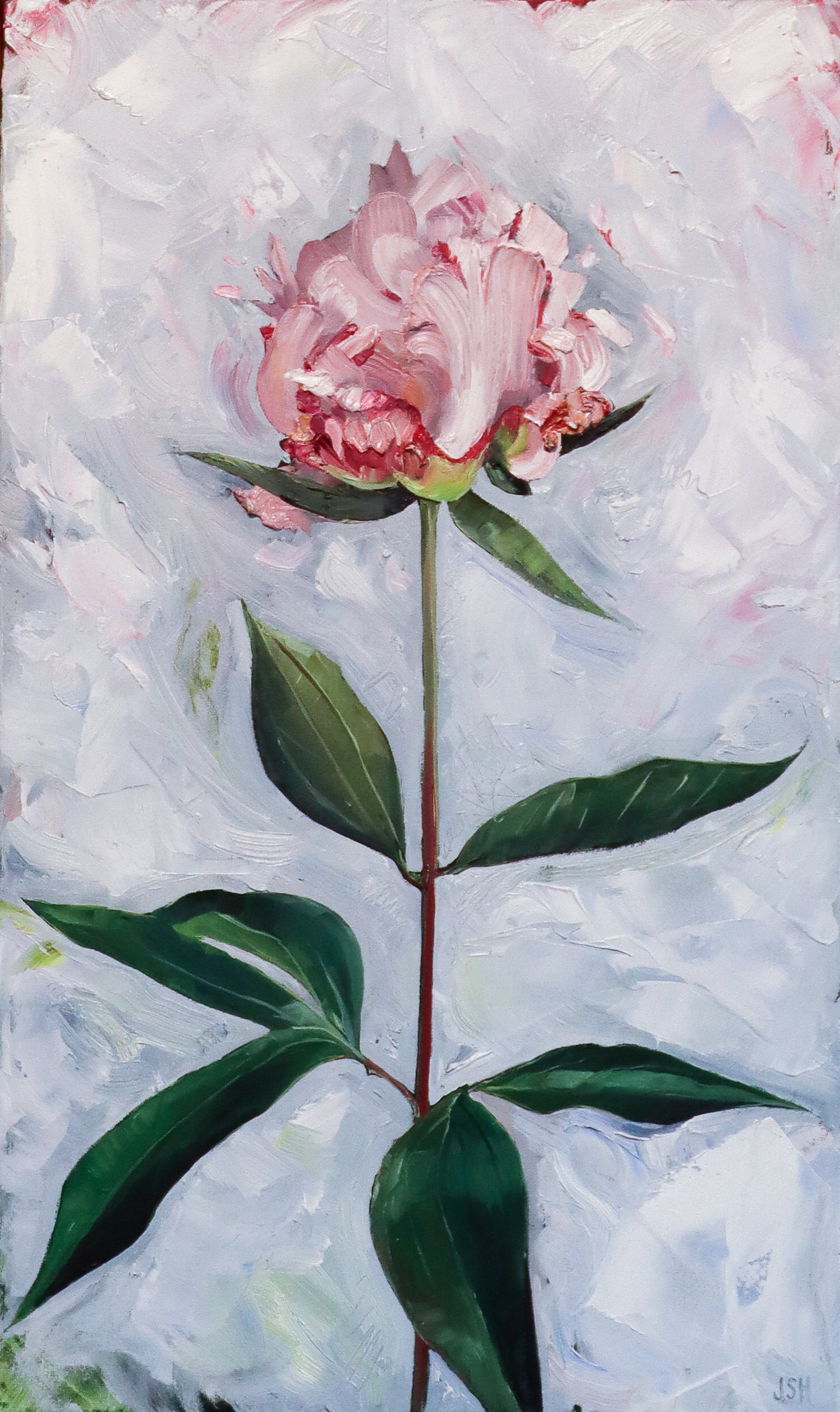 Single Peony ll