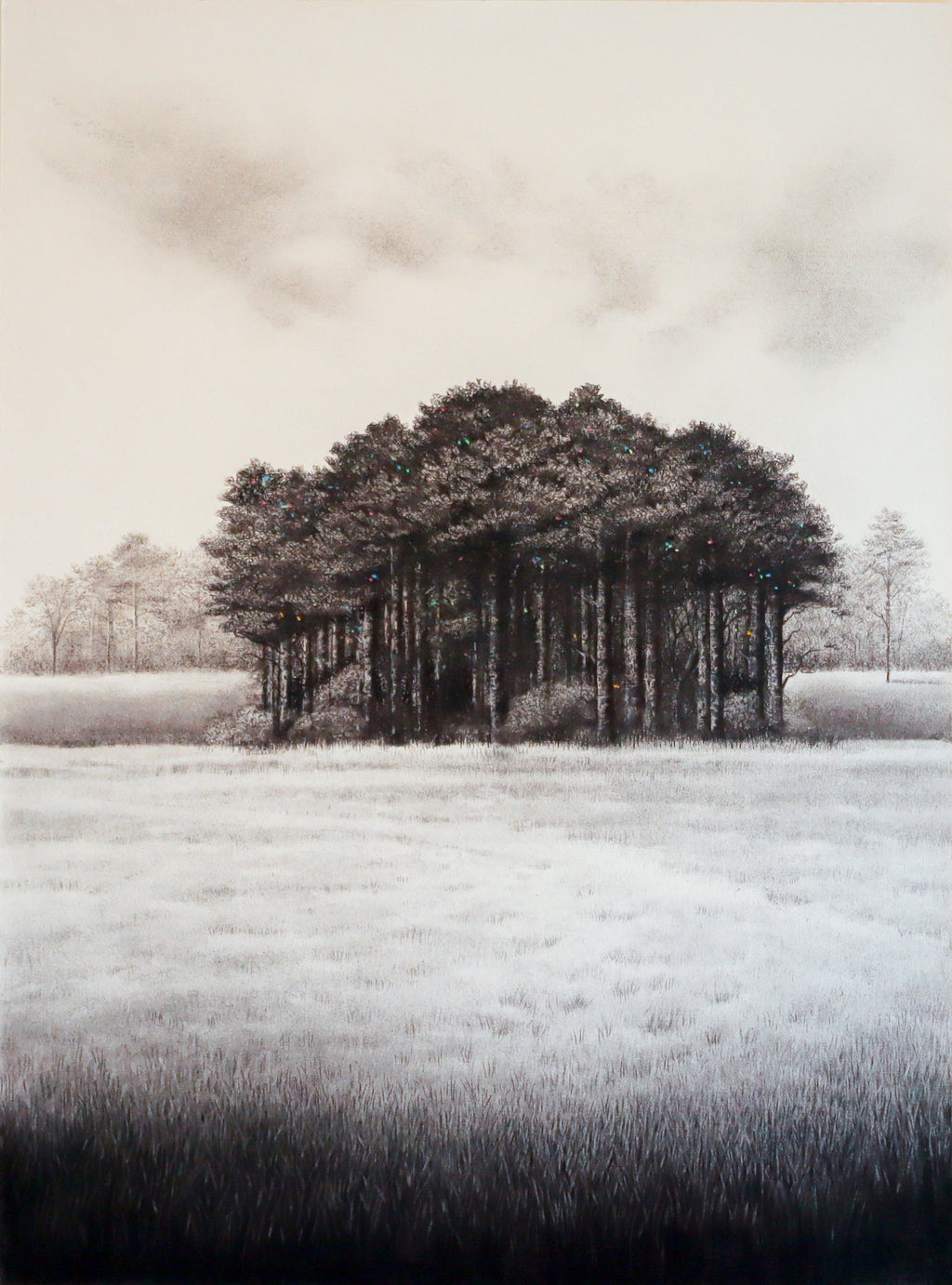 Still Field