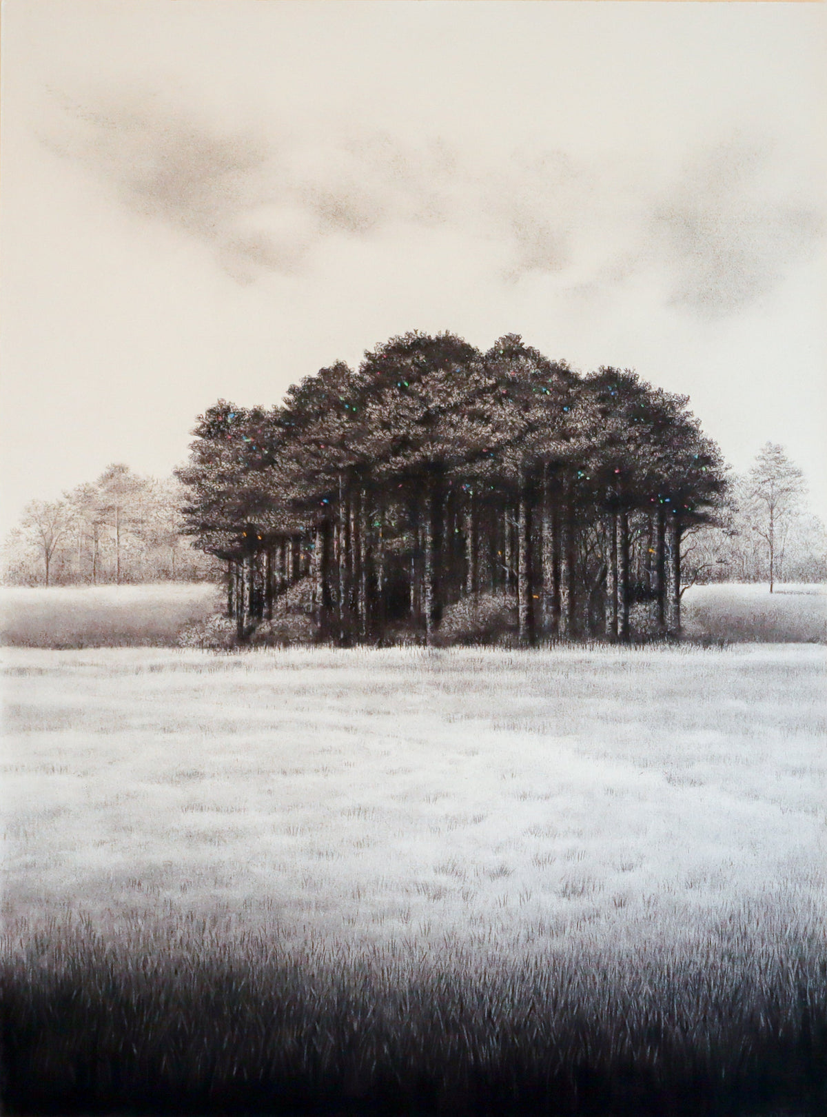 Still Field