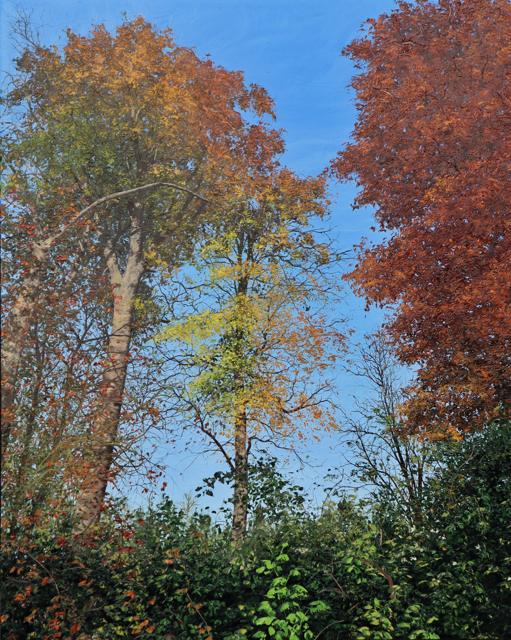 The Leaves to Fall