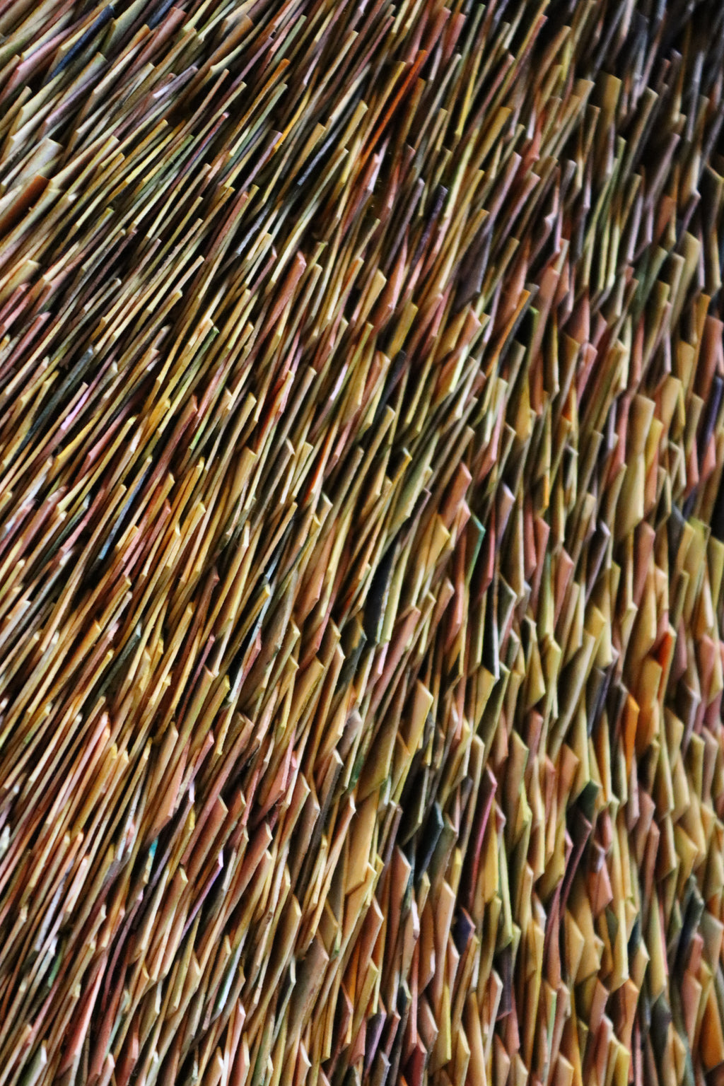 Patterns of the Universe