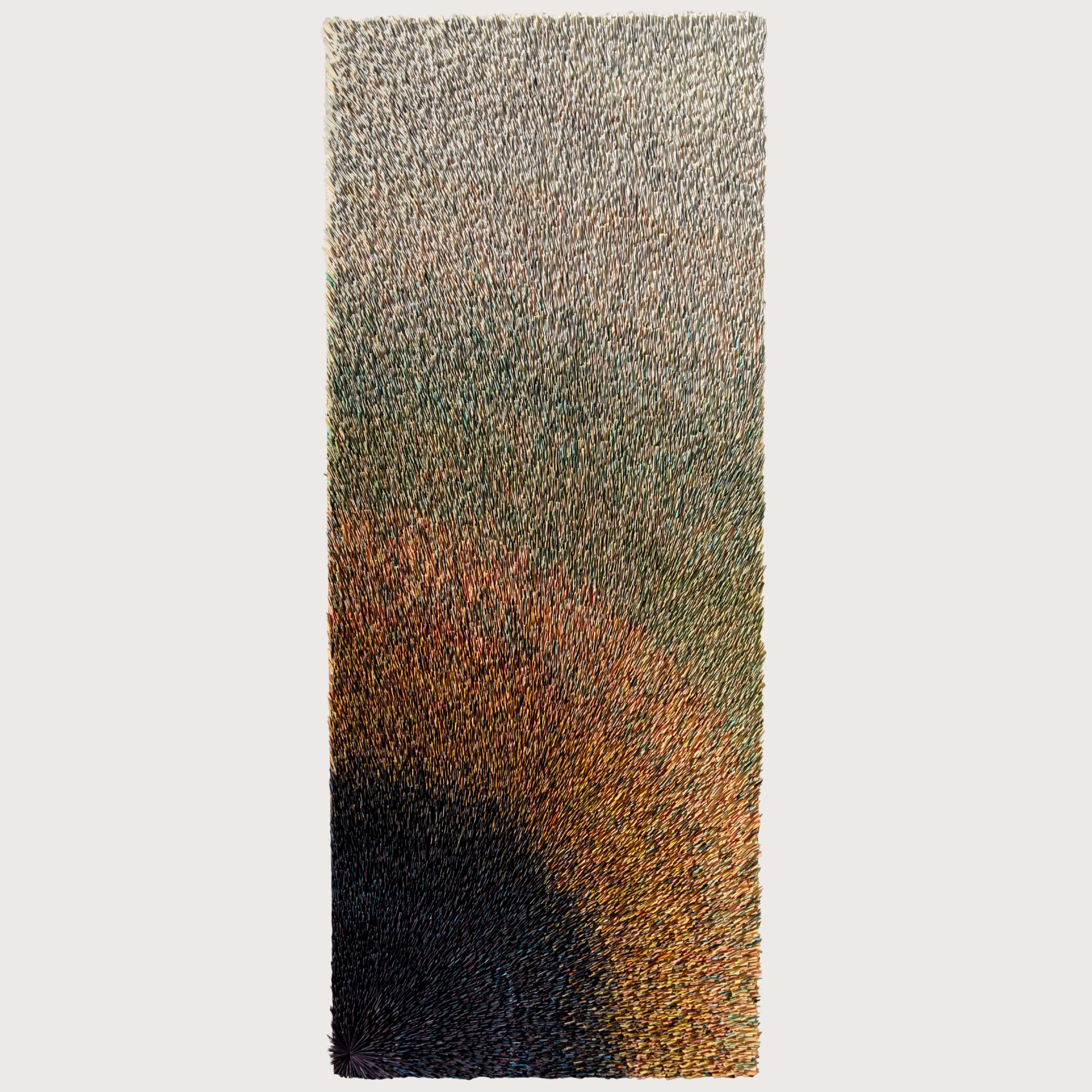 Patterns of the Universe