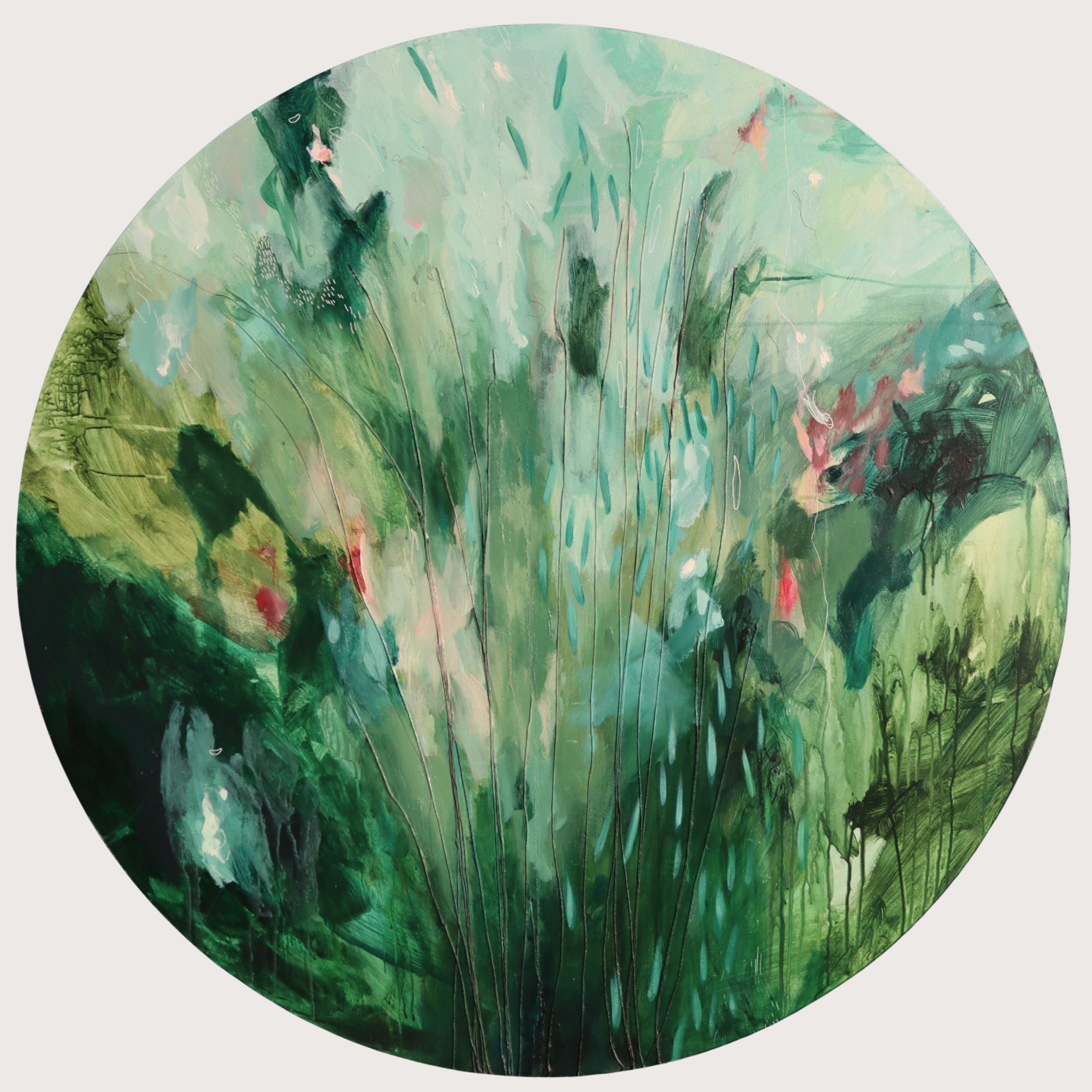 Sardines in Sheep Haven