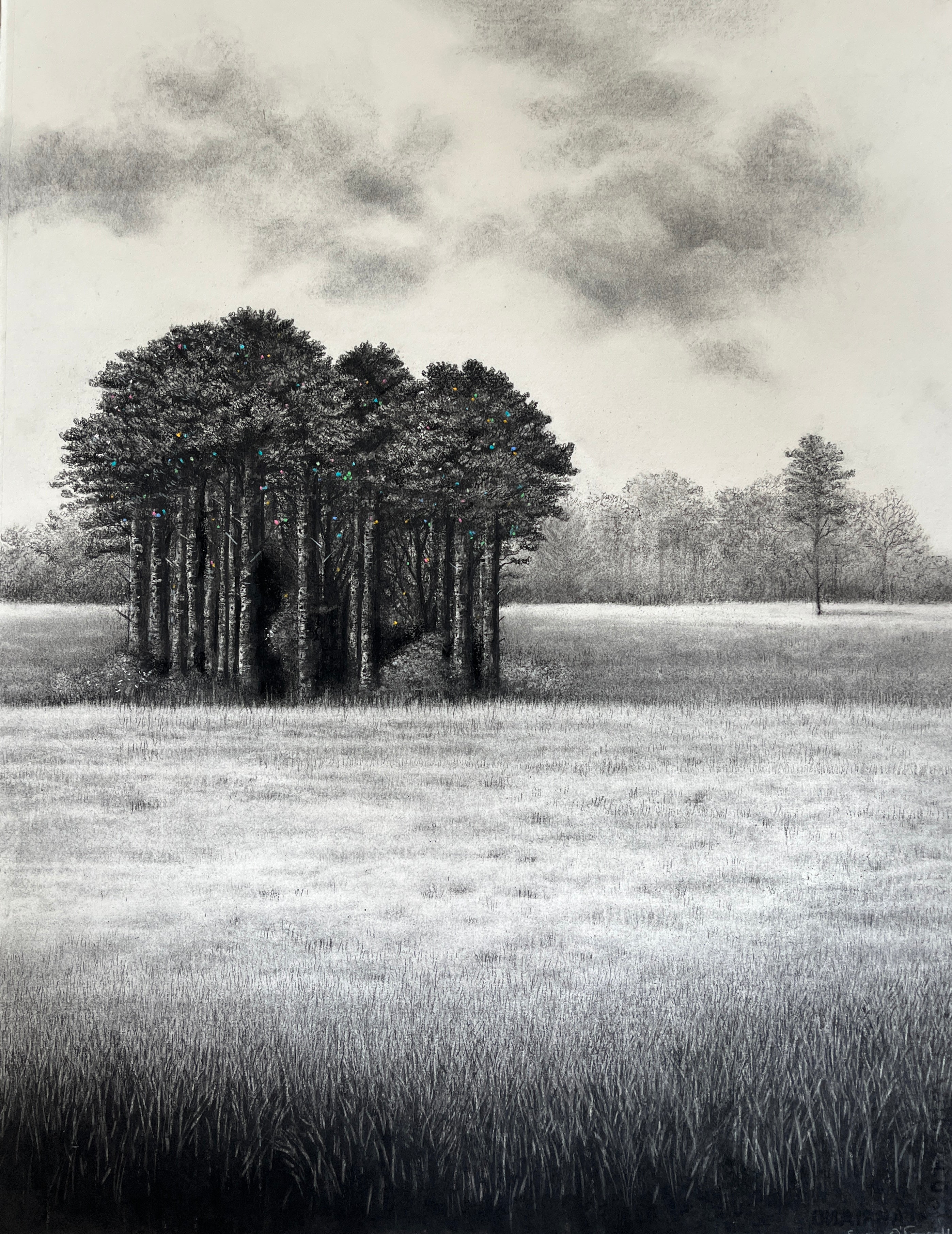 Secret Copse
