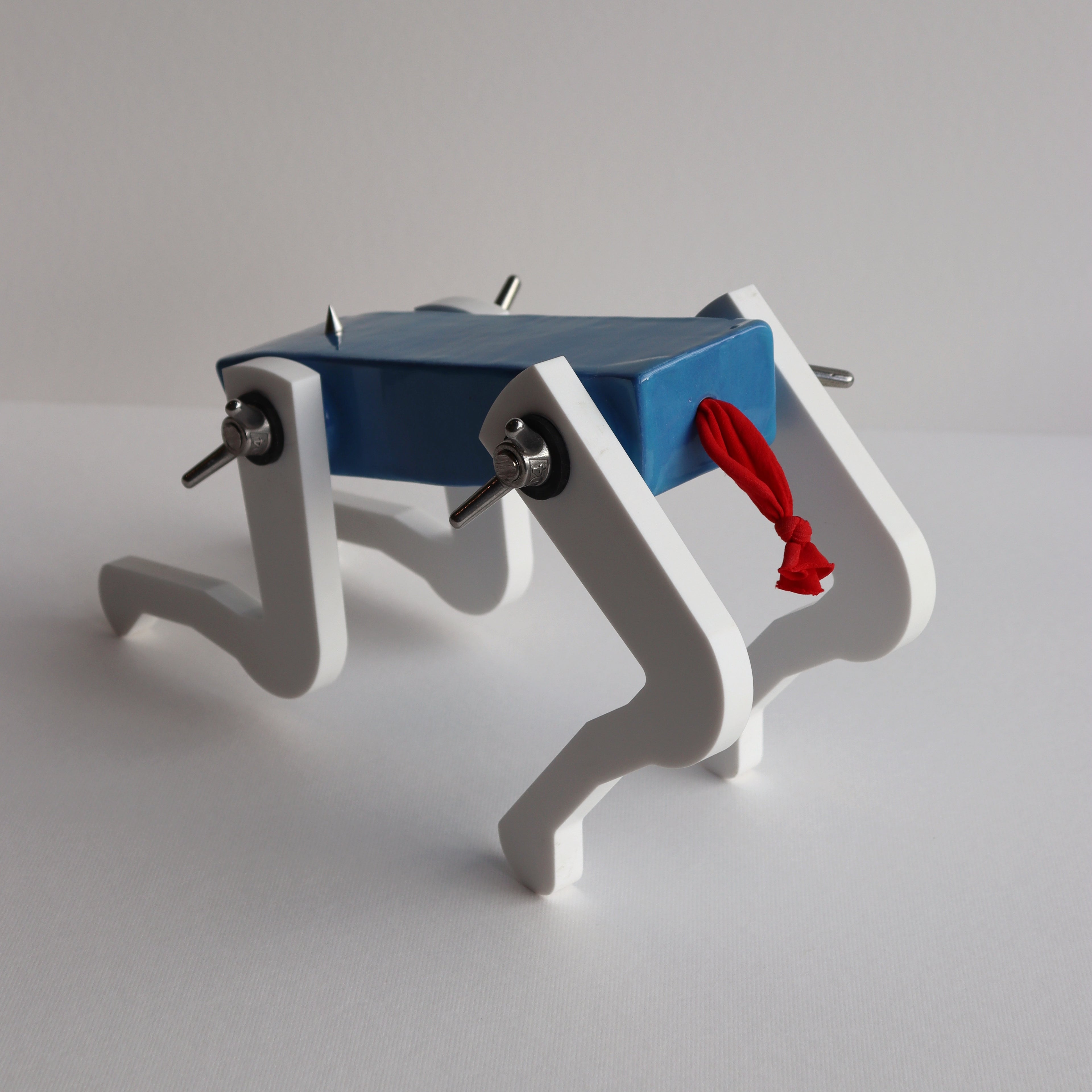 Black Pup (Powder Blue)