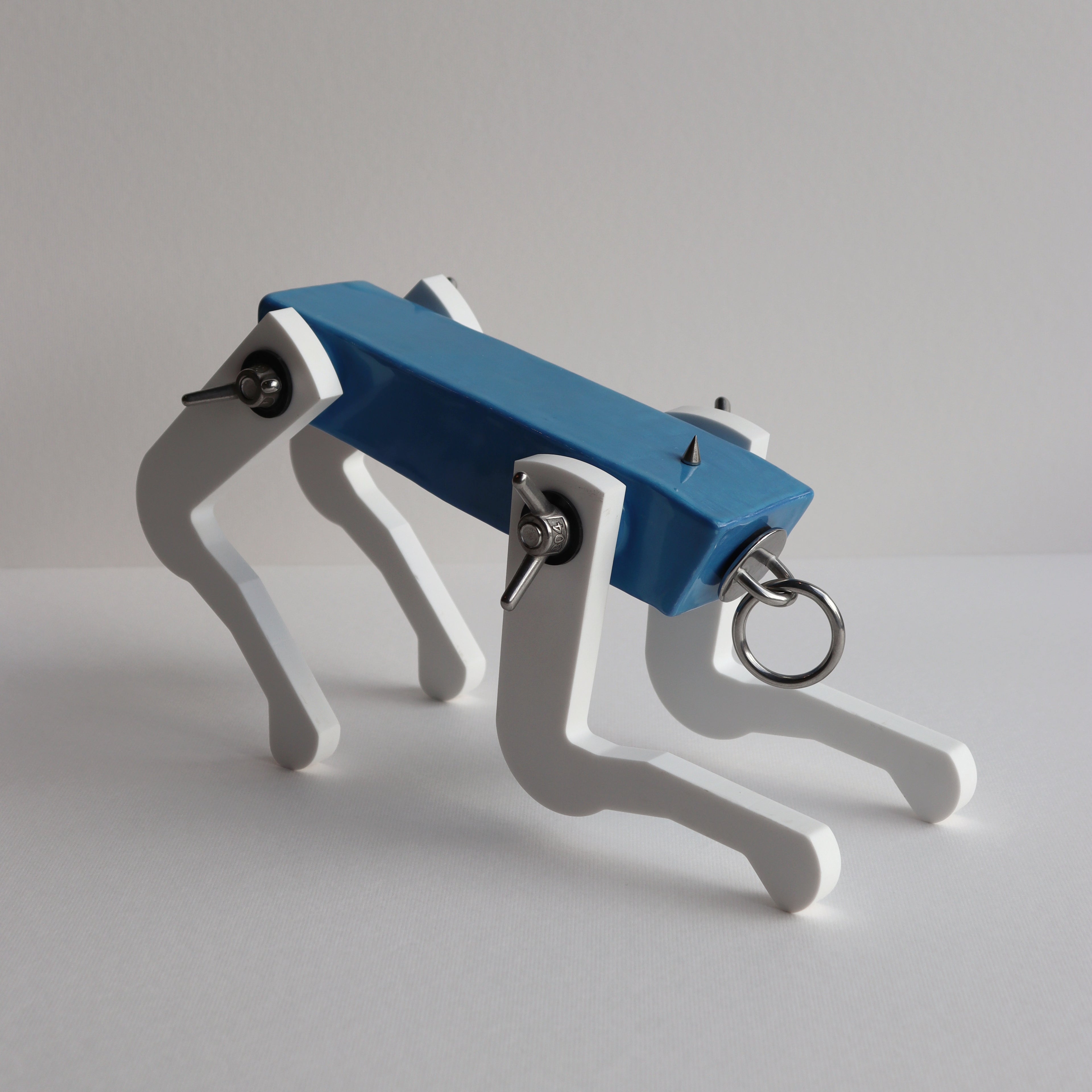 Black Pup (Powder Blue)