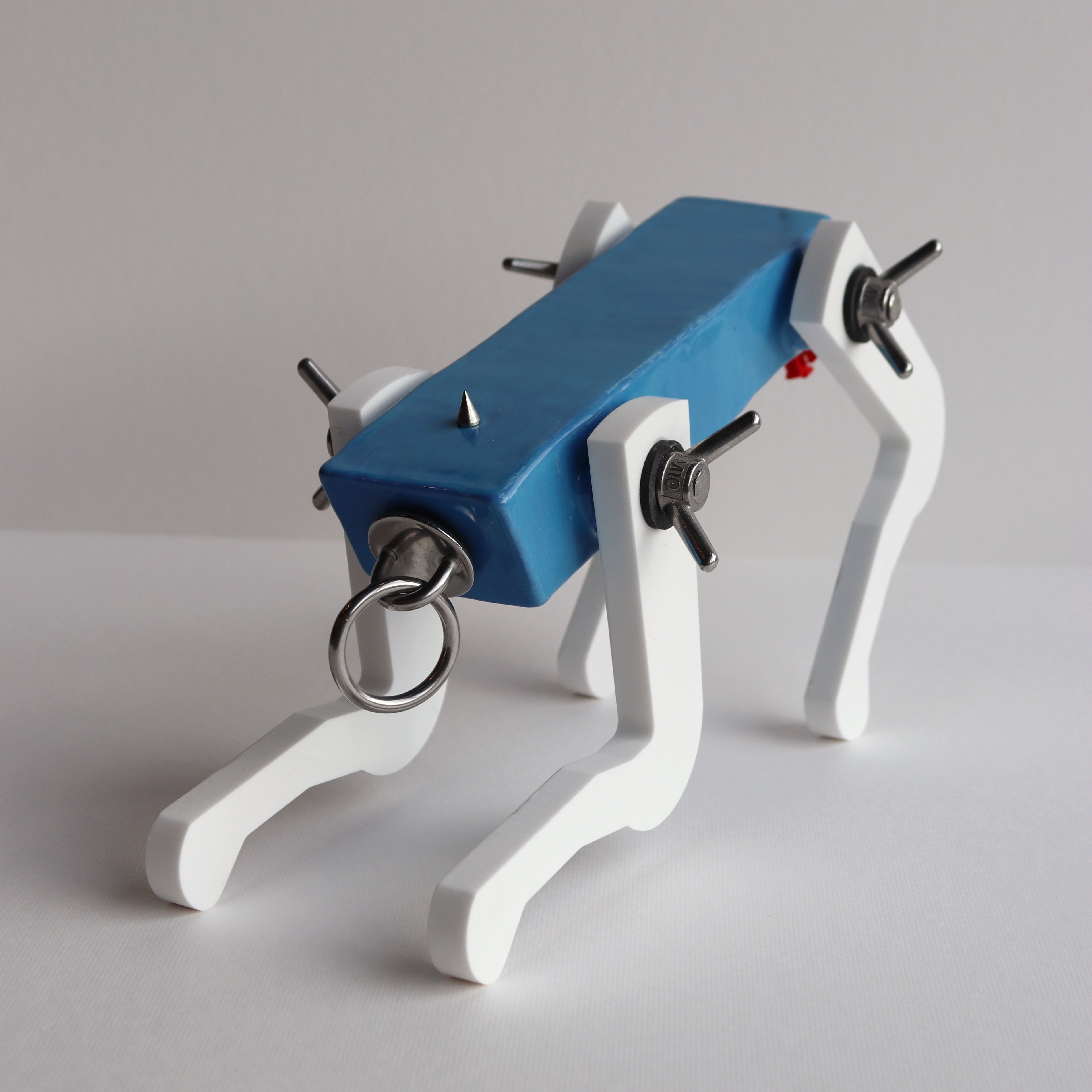 Black Pup (Powder Blue)